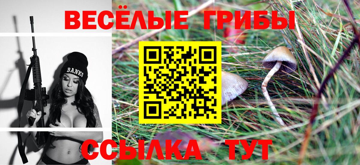 Псилоцибиновые грибы GOLDEN TEACHER Кинешма